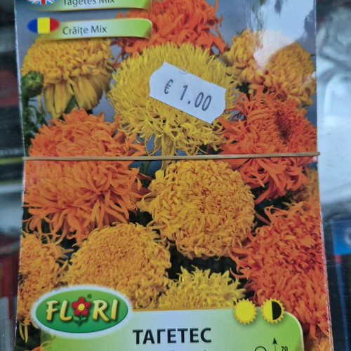 Petunia new seeds with great variety