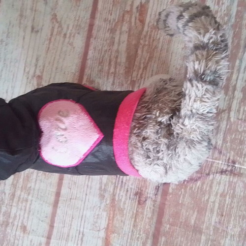 Chi Chi Love Cat Carrying Bag like new