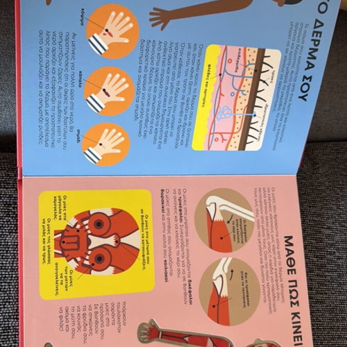 My Body educational children's book