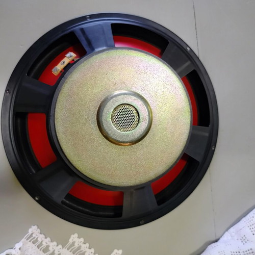 12-inch subwoofer with cast basket and strong magnet
