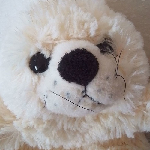 Plush glove puppet seal used, for puppet theater