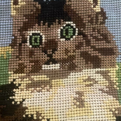 Embroidery with cat cross-stitch, new, ready for frame 30x40