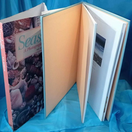 Book Seashells - A Photographic Celebration N.R. Gordon hardcover like new