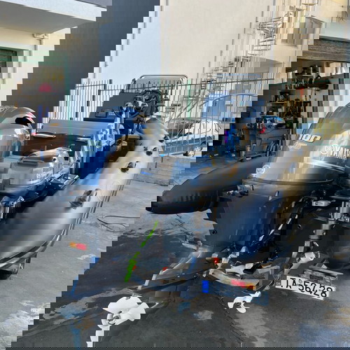 Φουσκωτό Diverib 2024 σαν καινούργιο με trailer και πολλά έξτρα