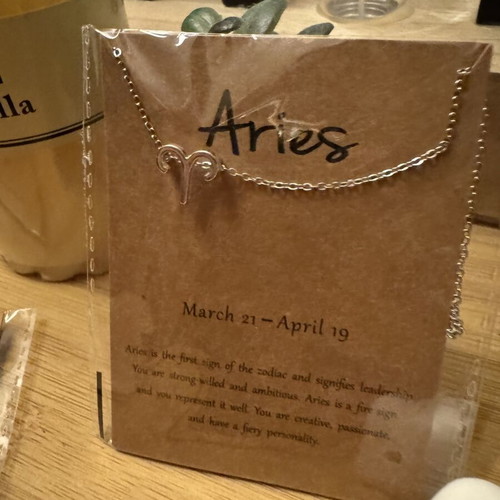 Aries silver necklace