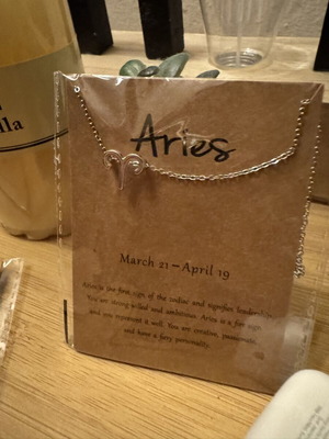 Aries silver necklace
