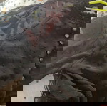  Μαυρο top crop με διαφάνεια