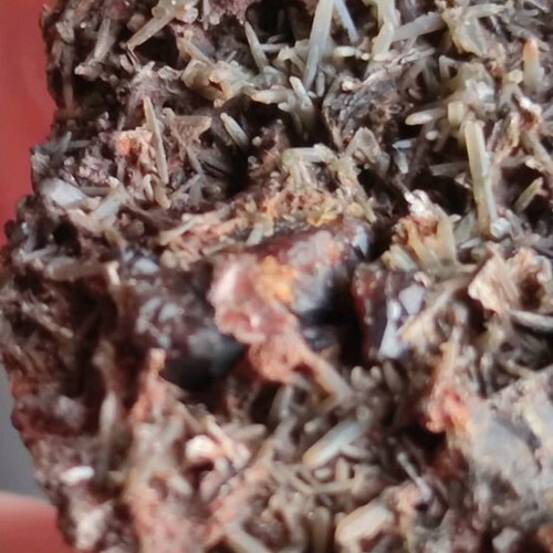 Prasios with garnet new, unique specimen
