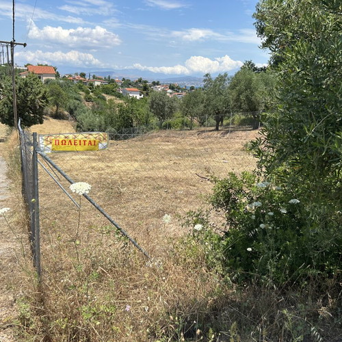 Αγροτεμάχιο 890 τ.μ περιφραγμένο με πόρτα, θέα στη θάλασσα, Άνω Λήθη Αυλίδα