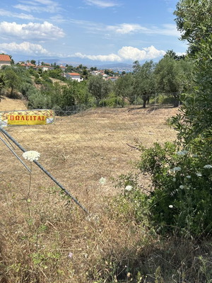 Αγροτεμάχιο 890 τ.μ περιφραγμένο με πόρτα, θέα στη θάλασσα, Άνω Λήθη Αυλίδα