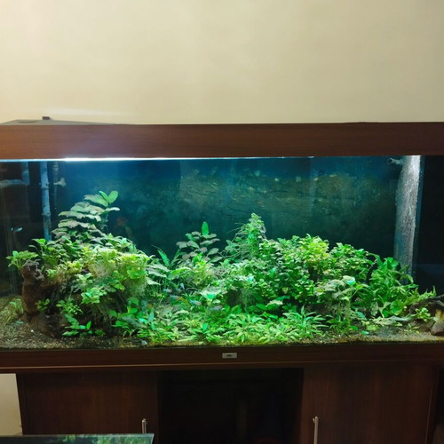 Juwel Rio 450 aquarium like new with cabinet