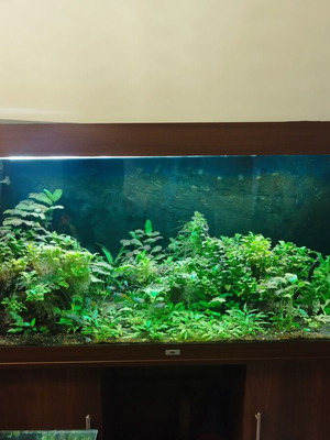 Juwel Rio 450 aquarium like new with cabinet