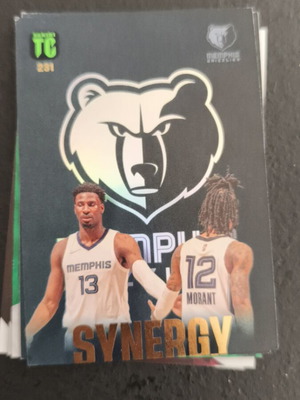 Panini Top Class 2024 NBA Basketball Grizzlies Synergy 231 like new
