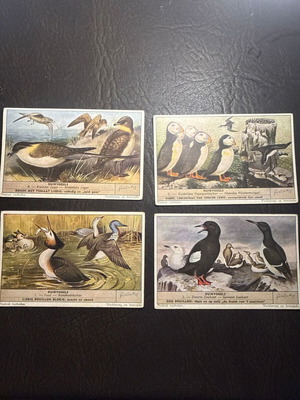 Liebig collectible cards set of 4 with sea birds, new