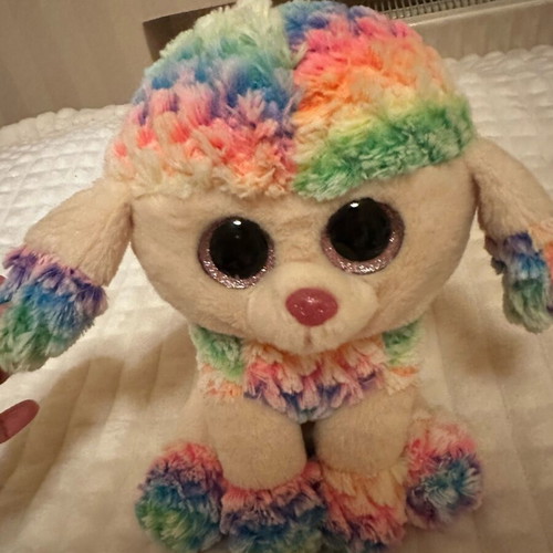 Ty Rainbow Large Dog Like New with Pocket on Back