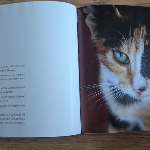 Cats in Cyprus Encounters book by Voula Kokkinou