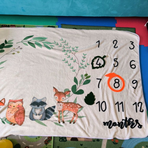Queen Mother baby fleece photo blanket new, 100x150 cm