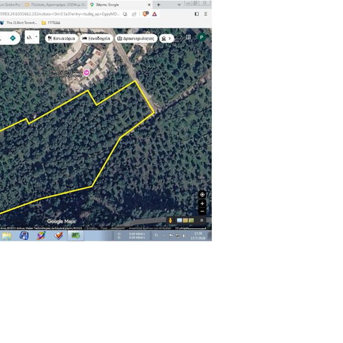 Olive Grove 17.1 stremmas with 360 trees, sea view, buildable land