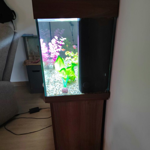 Juwel Rio 125 LED Aquarium set like new with cabinet and extras