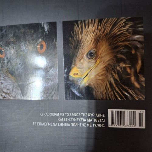 Kyriarhoi ton Aitheron book with raptor photography