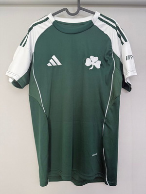 Panathinaikos 2025-26 football jersey, medium, official replica