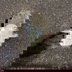  Λαμπραδοριτης pixu ασημένιο δαχτυλιδι one size