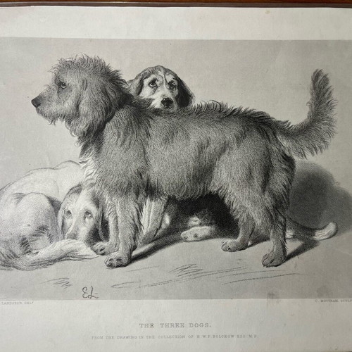 Antique chalcography The Three Dogs used