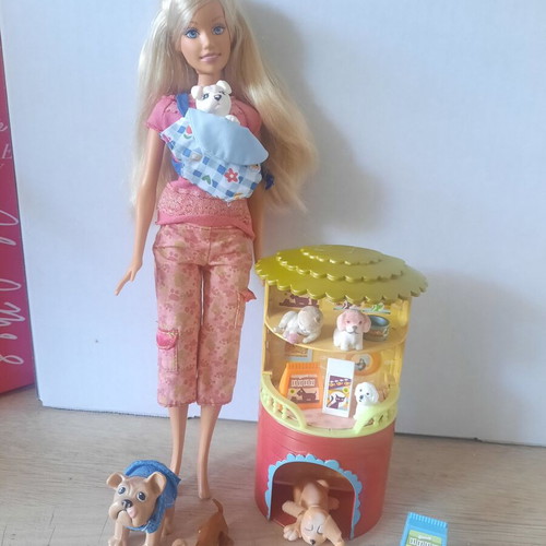 Mattel Barbie I Can Be Pet Sitter playset used with puppies and accessories