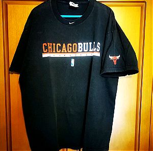 Nike chicago bulls jordan shirt