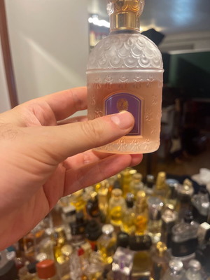 Guerlain Insolence EDT σαν καινούργιο, ορατή στάθμη 100 μλ