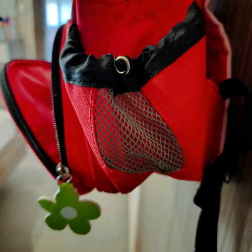 Skip Hop Ladybug School Backpack like new