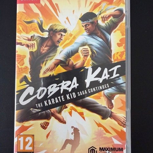 Cobra Kai The Karate Kid Saga Continues Nintendo Switch like new