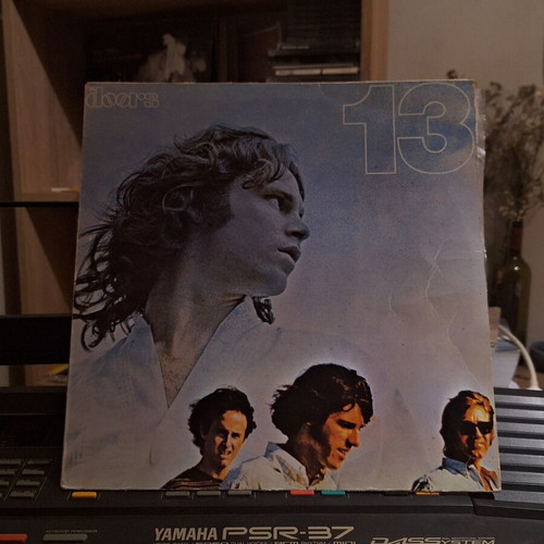 The Doors vinyl record new, rock genre