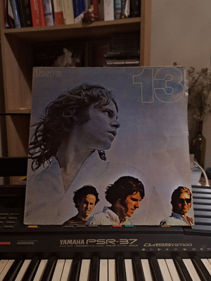 The Doors vinyl record new, rock genre