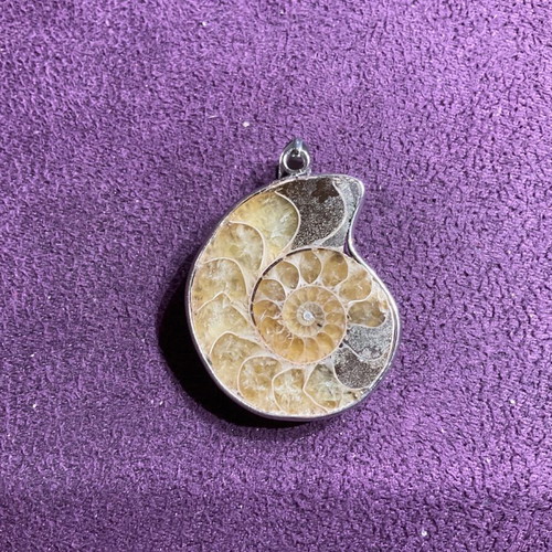 Ammonite pendant new