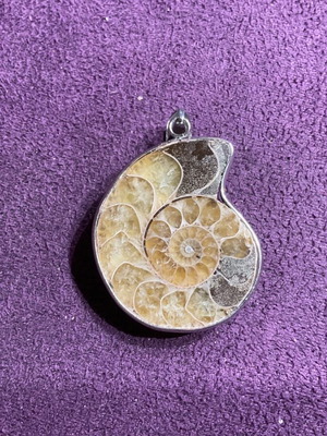 Ammonite pendant new
