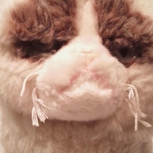 Grumpy Cat GUND plush cat used