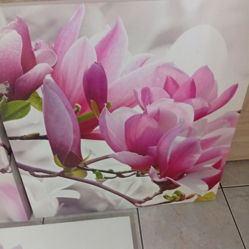 Pink Magnolia Canvas Photo Panel Set of 3