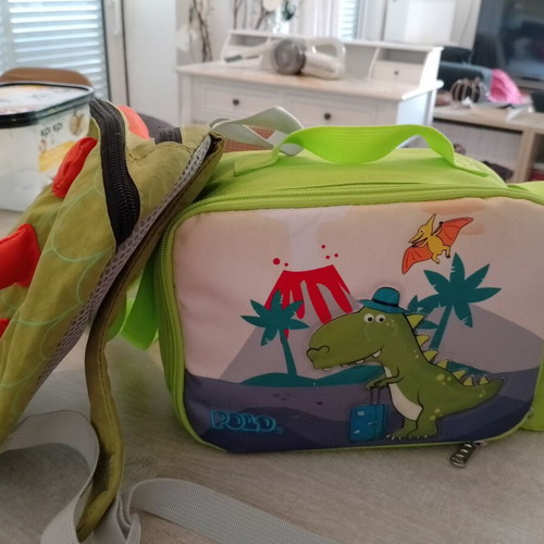 Insulated lunch bag and small backpack like new