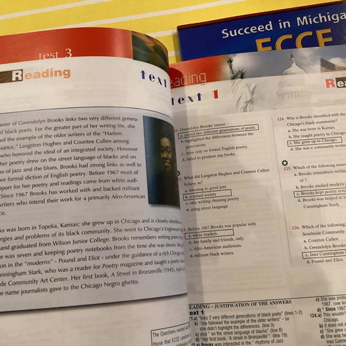 Betsis Succeed in Michigan 15 Practice Tests new, set of 2 books