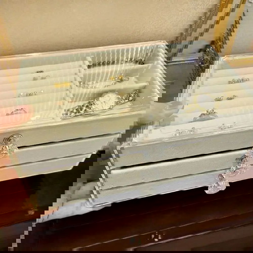 Ακρυλική οργάνωση κοσμημάτων με βελούδινο εσωτερικό