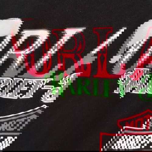 Ανδρικό T-shirt Harley Davidson