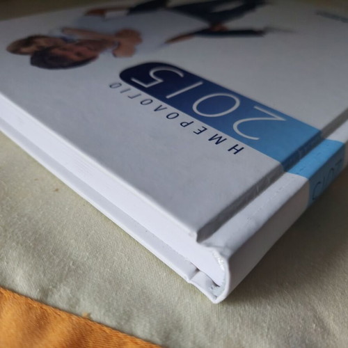 2015 hardcover diary like new