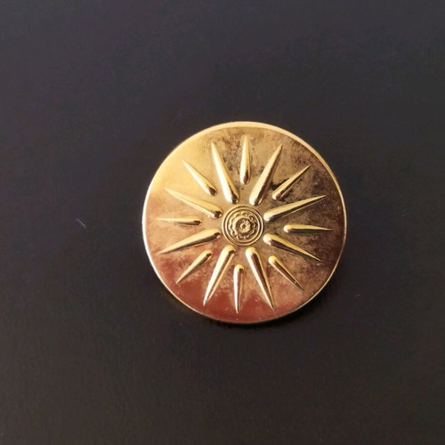 Collectible Pin 16-Ray Vergina Star like new
