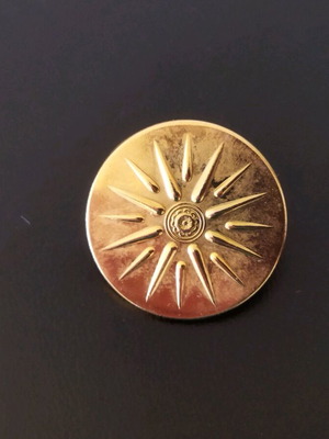 Collectible Pin 16-Ray Vergina Star like new