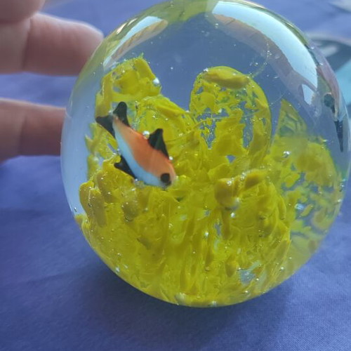 Crystal ball with yellow seaweed and orange black fish new