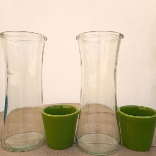 Self-Watering Plant Vases by Nature & Découvertes used