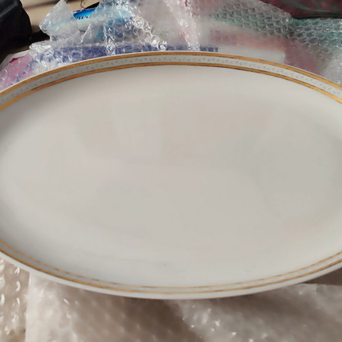 Ionia porcelain dinner set new, 19 pieces with gold finish
