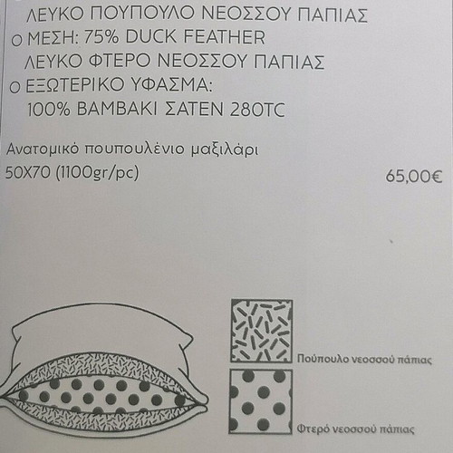 Kentia anatomical down pillow new, set of 2 pieces 50x70