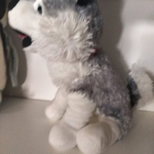 Teddy bears used